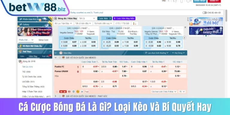 Cá cược bóng đá