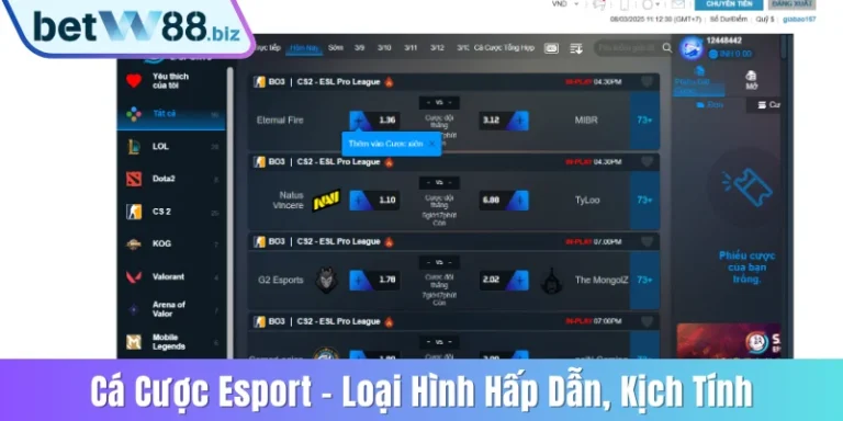 Cá cược Esport